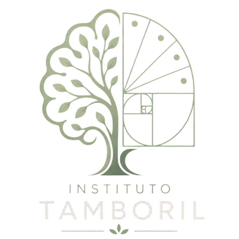 Instituto Tamboril